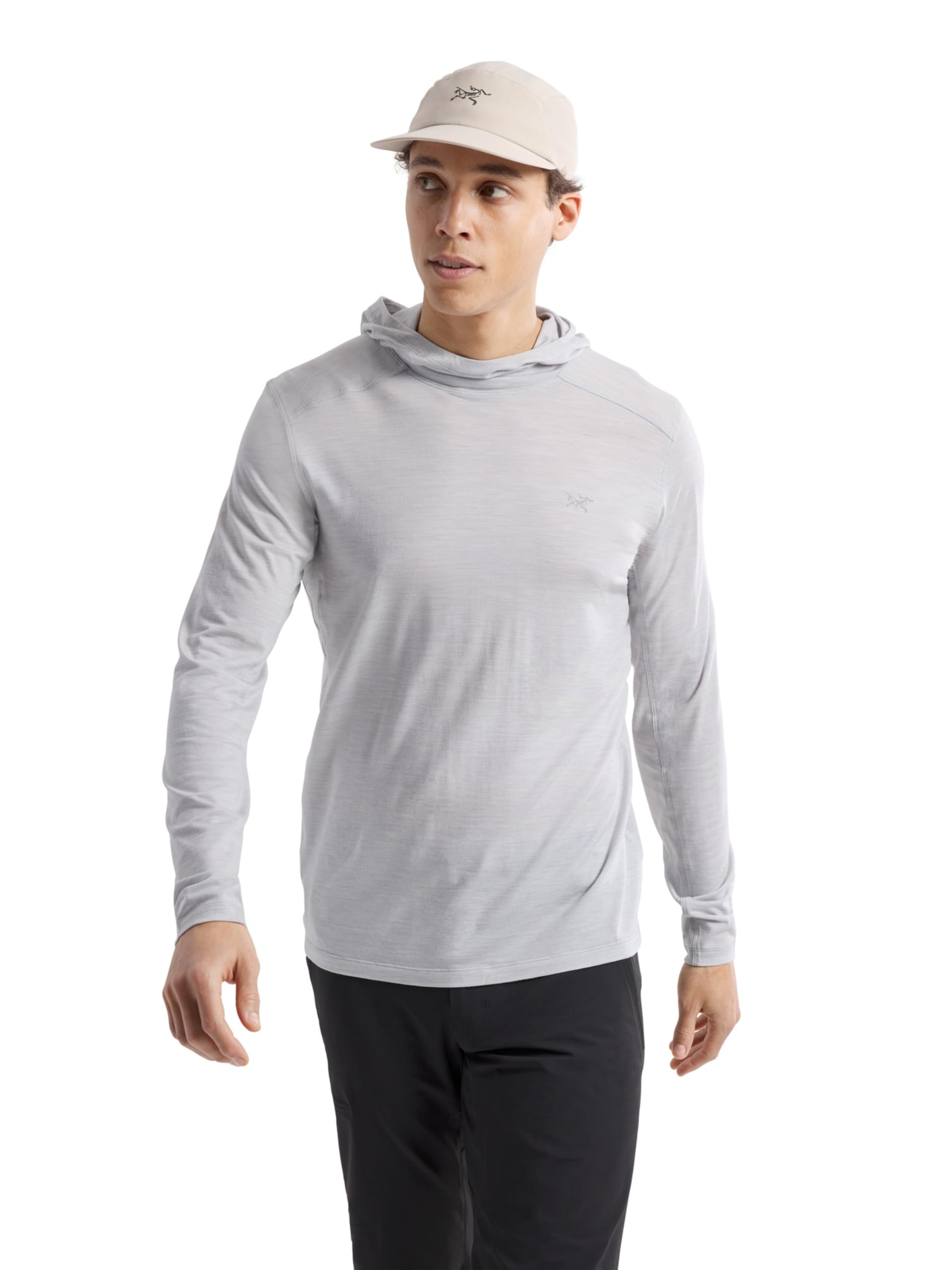 Arc'teryx Arc'teryx Ionia Merino Wool Hoody Men's | Soft Light